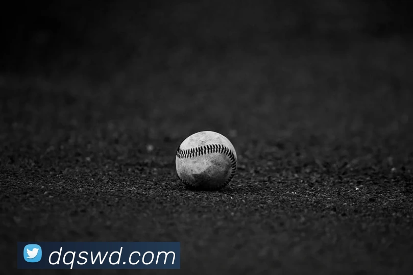 问鼎28品牌故事