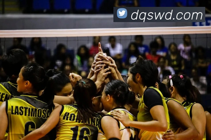 问鼎28服务体系