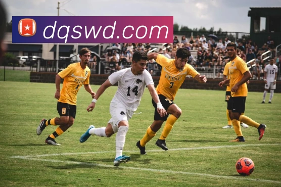 问鼎28APP 体育赛事宣传图